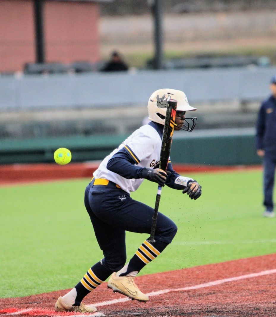 Sophomore outfielder Gabrielle Porterfield had two hits in each of Gaston College's Friday Region 10 tournament games.
